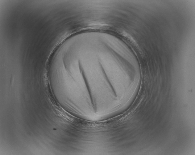 X0000071911362200608041358