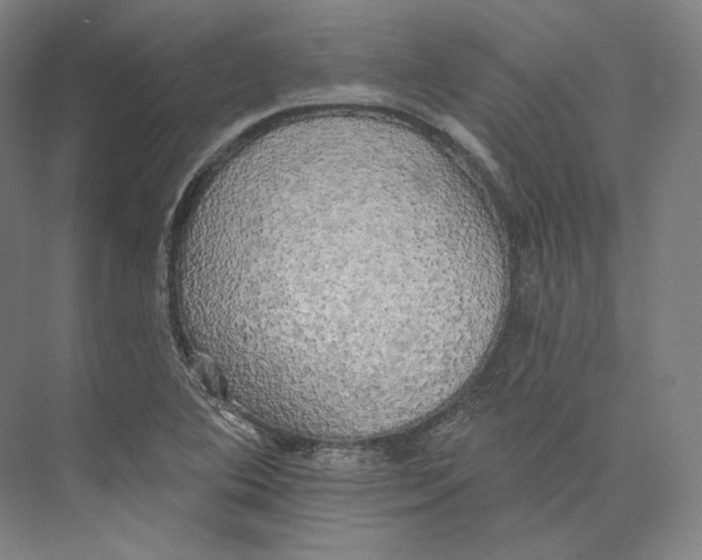 X0000071911364200608041358