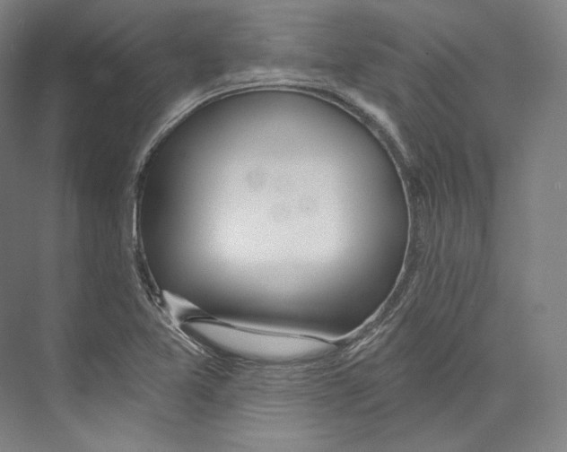 X0000071911365200608041358