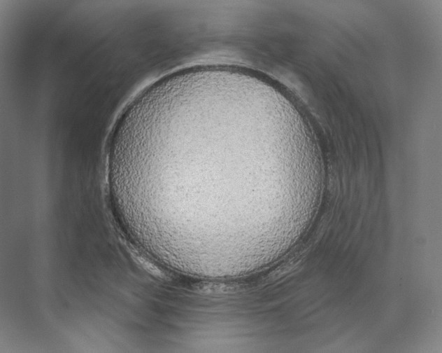 X0000071911366200608041358