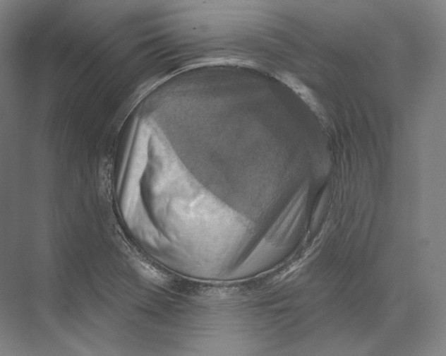 X0000071911369200608041358