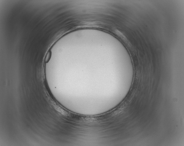 X0000071911370200608041358