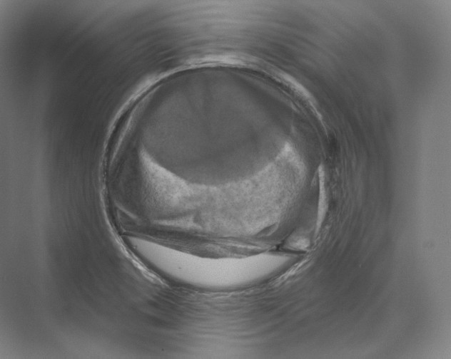 X0000071911373200608041358
