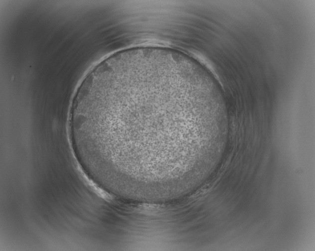X0000071911379200608041357