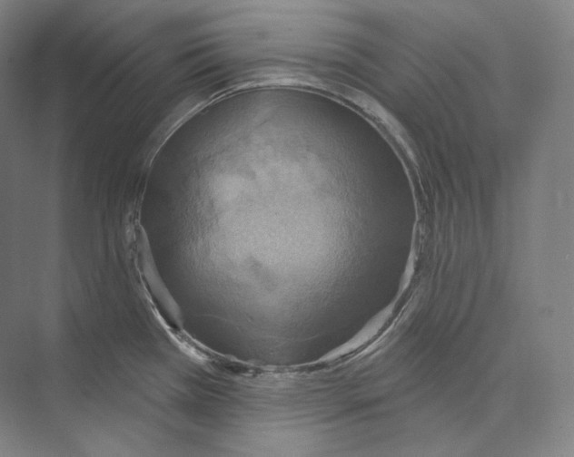 X0000071911385200608041357