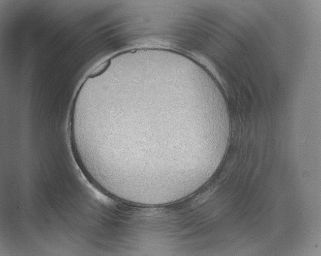 X0000071911387200608041357