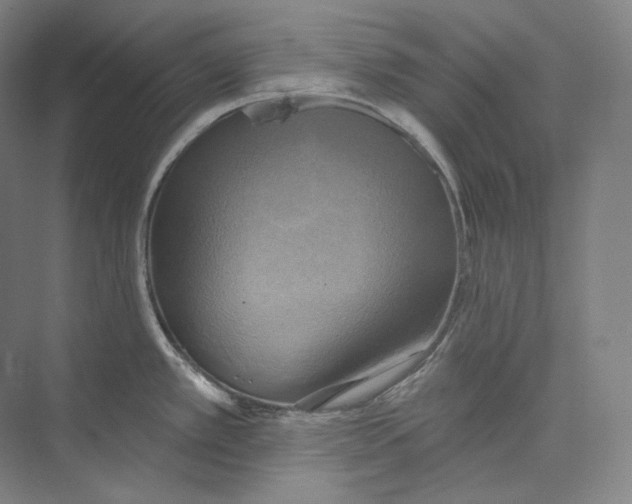 X0000071911389200608041357