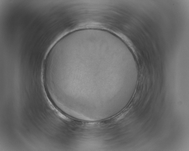 X0000071911390200608041357