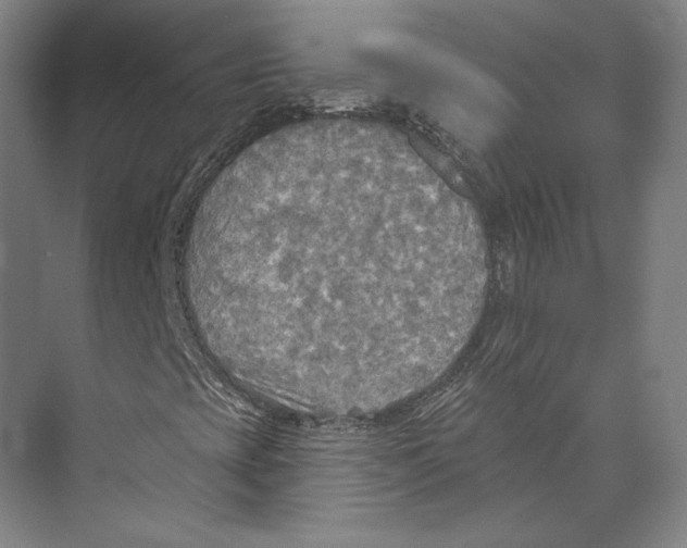 X0000071911393200608041356