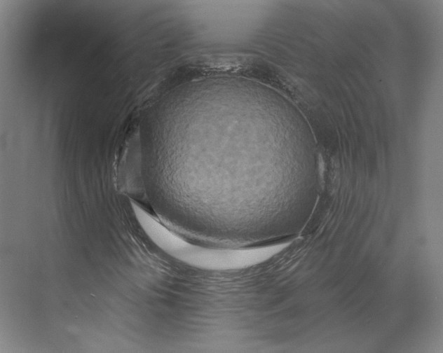 X0000071911394200608041356