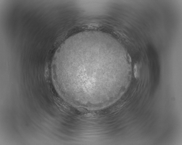 X0000071911395200608041356