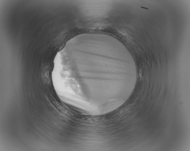 X0000071911396200608041356