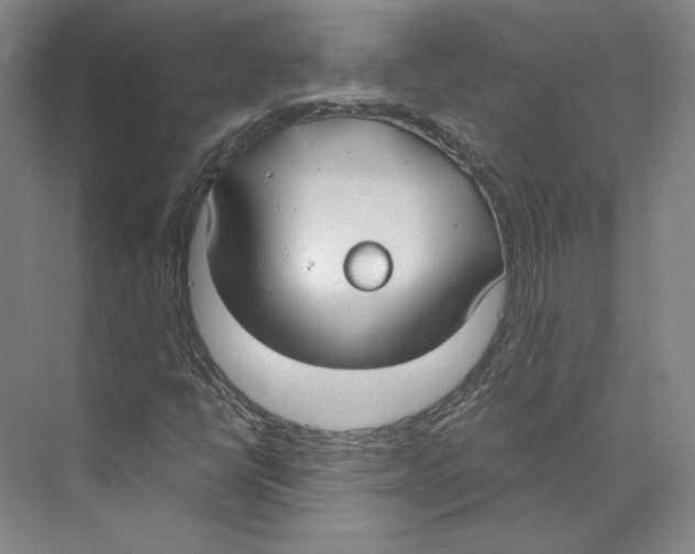 X0000071911398200608041357