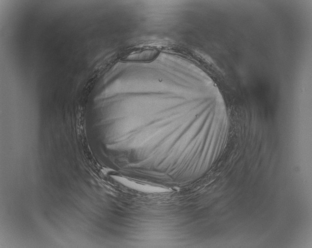 X0000071911399200608041357