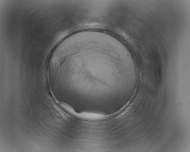 X0000071911405200608041357