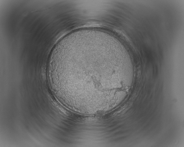 X0000071911409200608041357