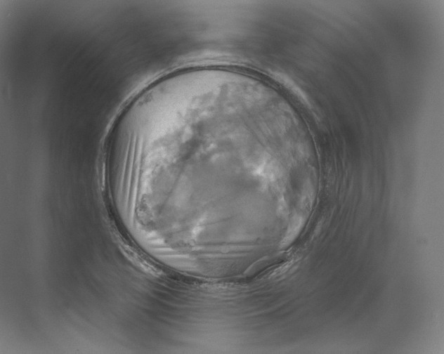 X0000071911413200608041357