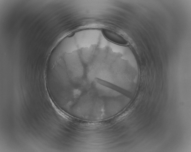 X0000071911425200608041357