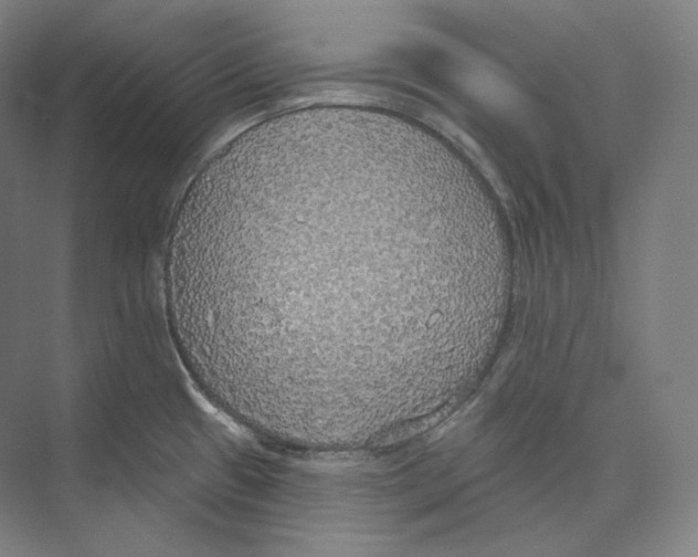 X0000071911433200608041357