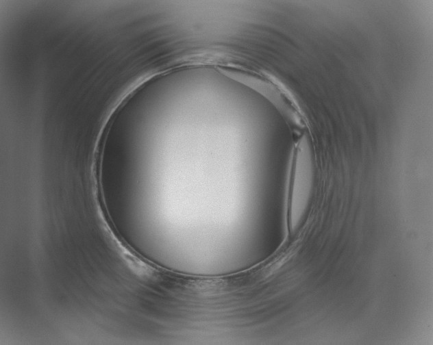 X0000071911434200608041357