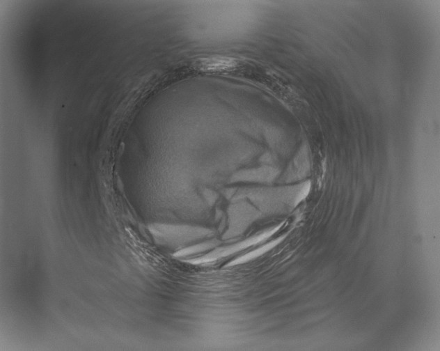 X0000071911441200608041356