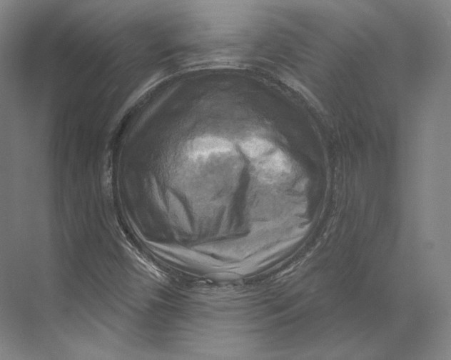X0000071911450200608041356