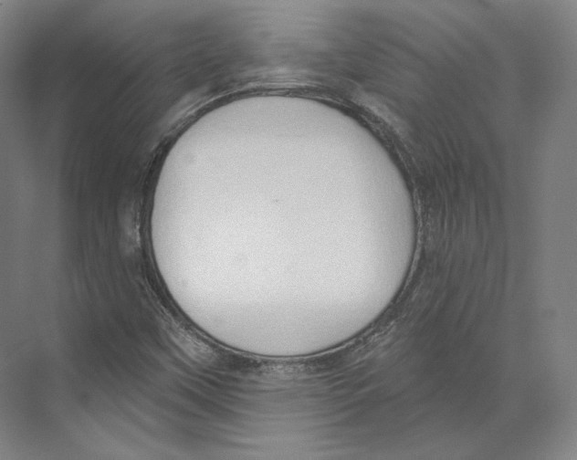 X0000071911451200608041356