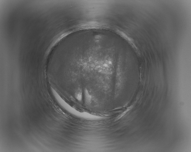 X0000071911453200608041356