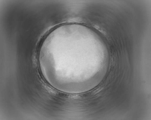 X0000071911454200608041356
