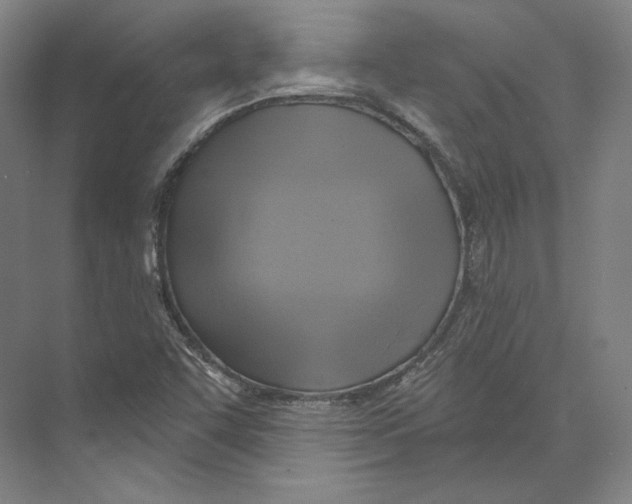 X0000071911455200608041356