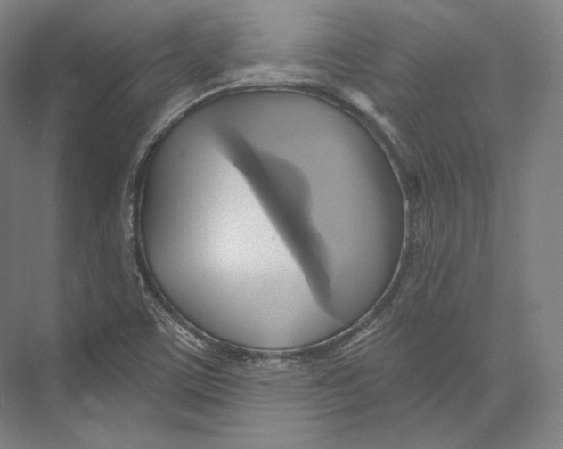 X0000071911459200608041356