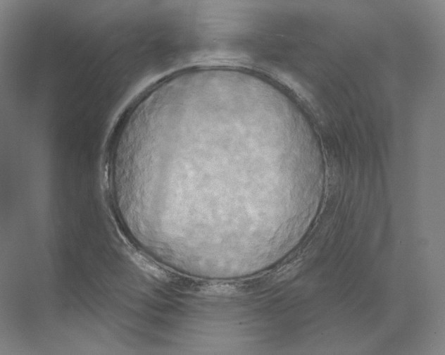 X0000071911462200608041356