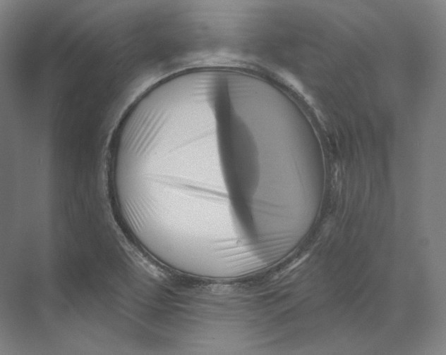 X0000071911463200608041356