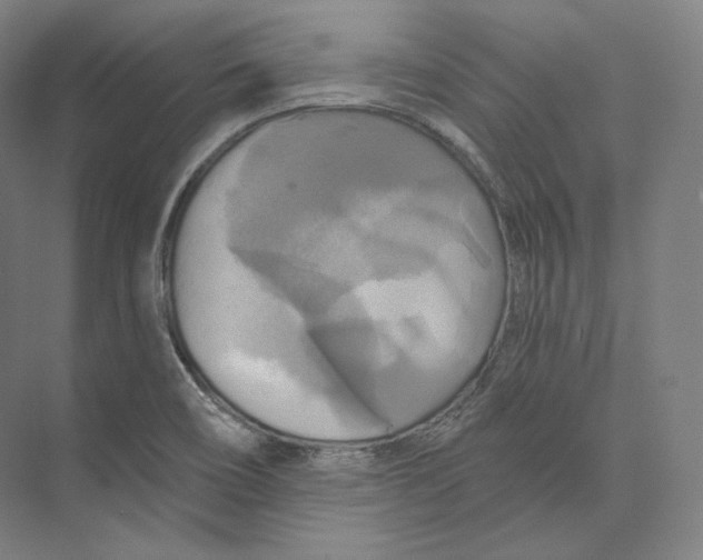 X0000071911466200608041356