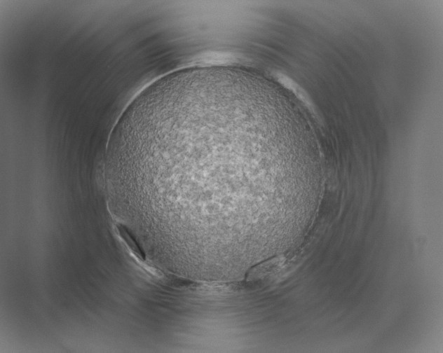 X0000071911473200608041356