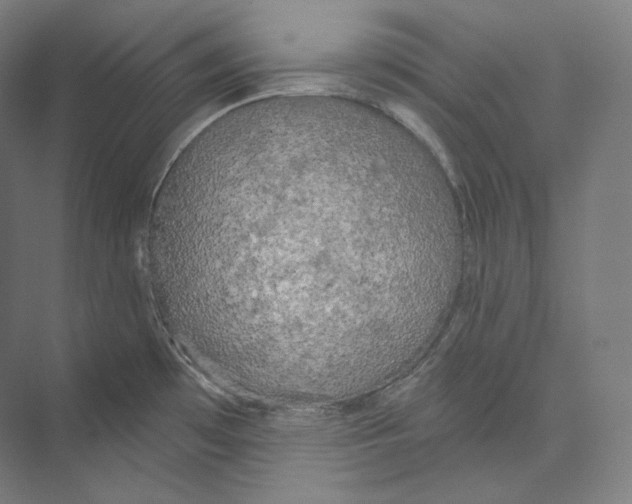X0000071911481200608041356