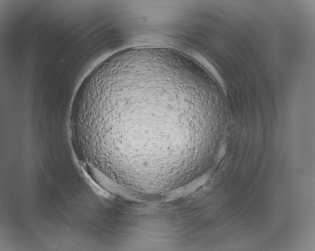 X0000071911485200608041356