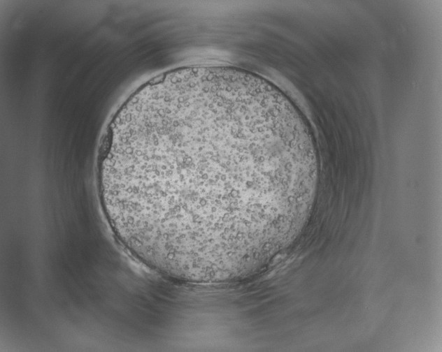 X0000071911488200608041356