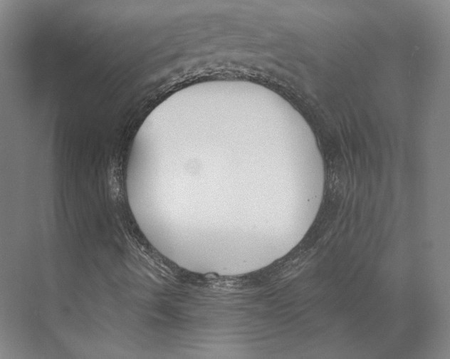 X0000071911490200608041355