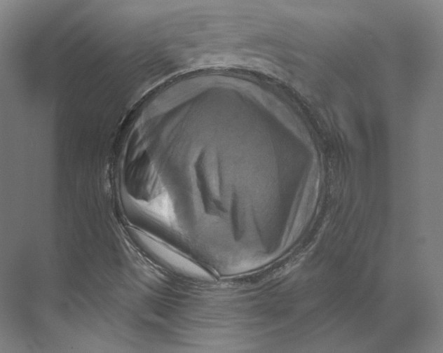 X0000071911497200608041355