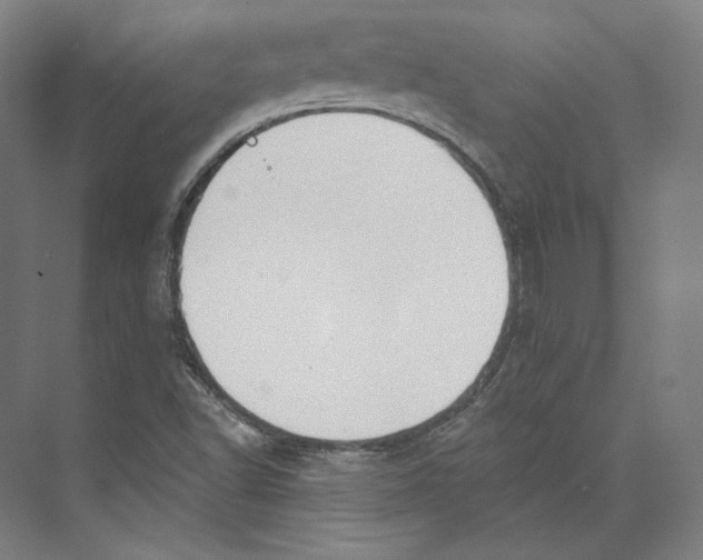 X0000071911502200608041355