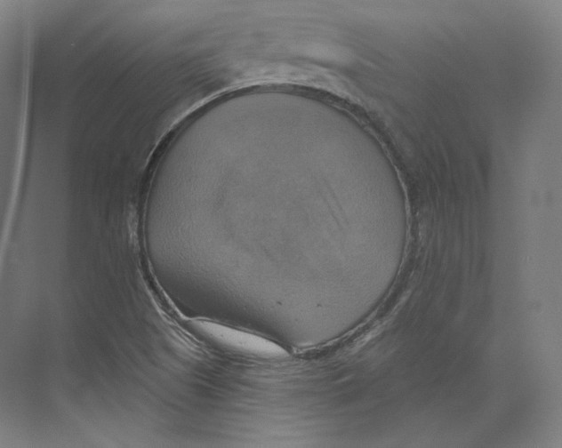 X0000071911505200608041355