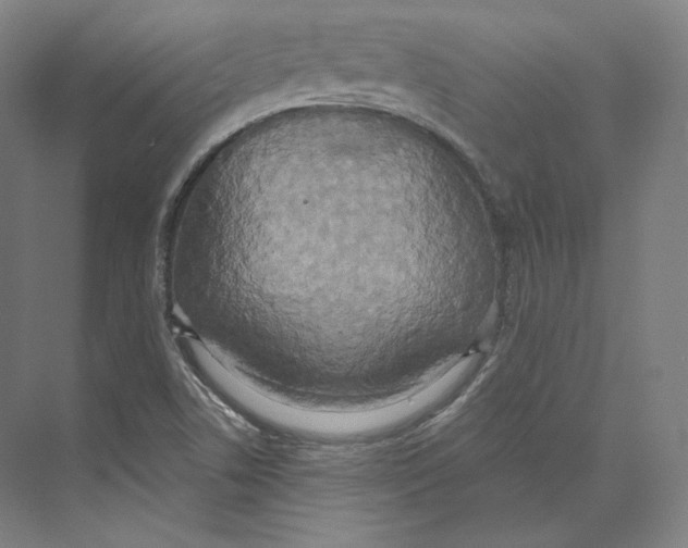 X0000071911506200608041355