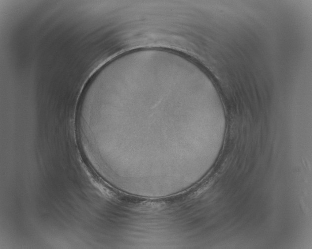 X0000071911513200608041355