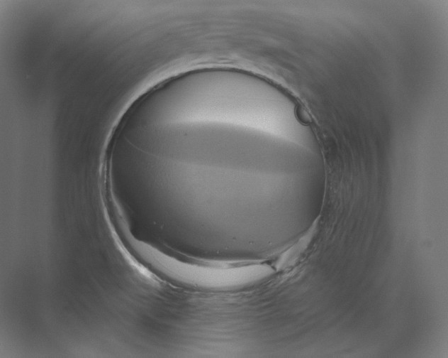 X0000071911519200608041355