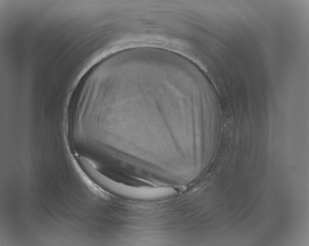 X0000071911523200608041355