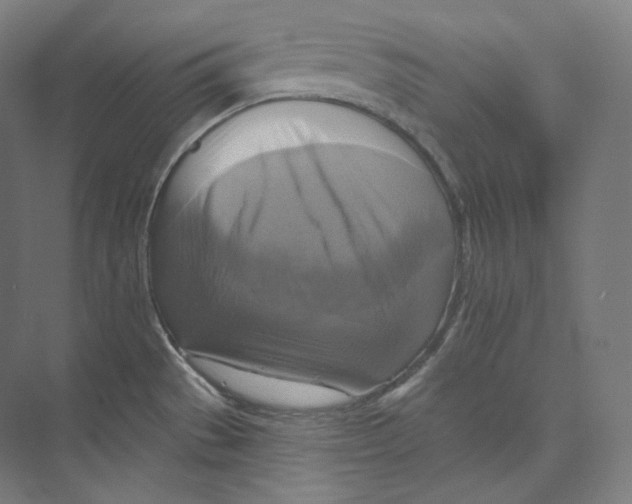 X0000071911529200608041355