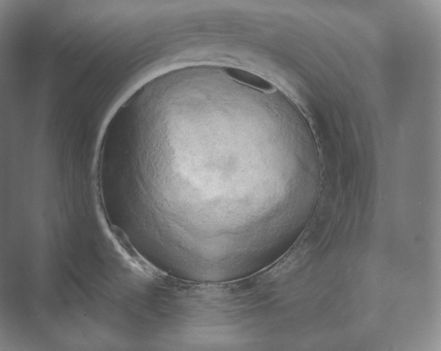 X0000071911536200608041356