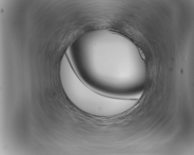 X0000071920041200607070931
