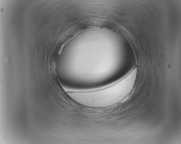 X0000071920045200607070931